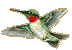 Ruby-throated Hummingbird