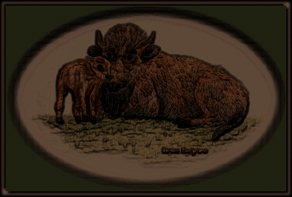 My Bison Again, New Effect