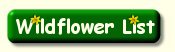 Wildflower List