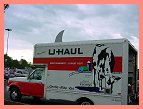 Bovine U-Haul Shark